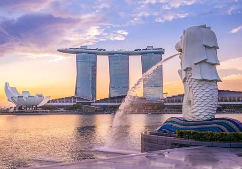 Healthcare Market Research Company in Singapore