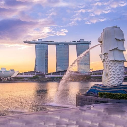 Healthcare Market Research Company in Singapore